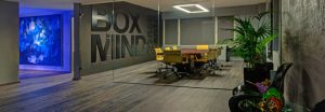 box mind offices