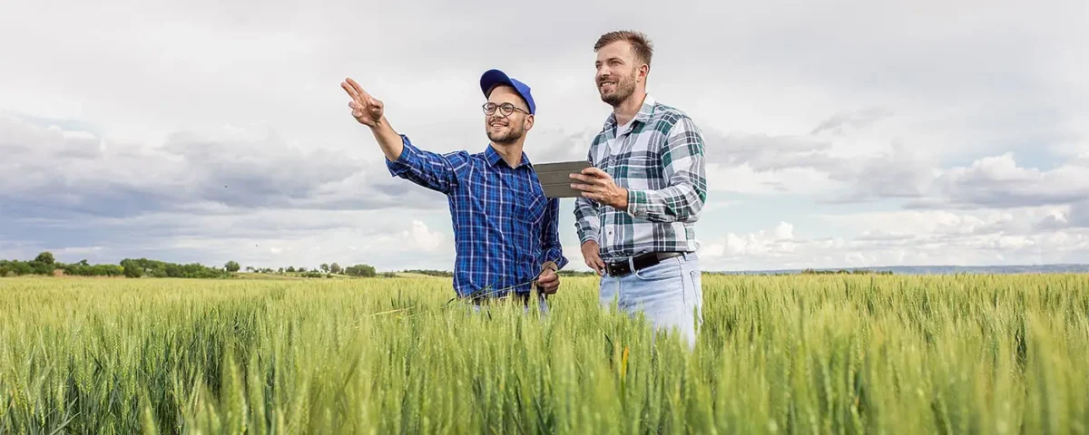 Ενίσχυση Επιχειρήσεων
