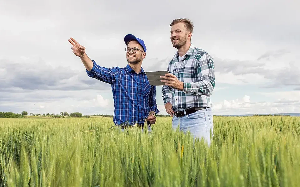 Ενίσχυση Επιχειρήσεων