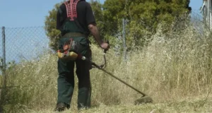 Καθαρισμός οικοπέδων